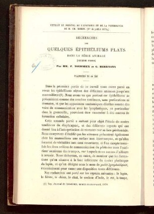 2: Recherches sur quelques épithéliums plats dans la série animale