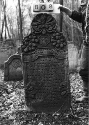 Grabstein 808 (Index: 99751503) Material: Sandstein Zustand: gut Maße HxBxT: 125x56x11 cm Beschreibung: Stele, geschwungen eingezogener Rundbogenabschluß Symbolik: Feigen, Wappenschild, Blätter, Schriftband: Grabstein 808