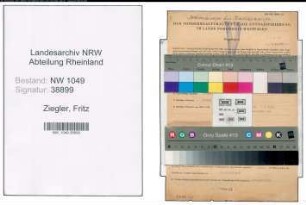 Entnazifizierung Fritz Ziegler , geb. 24.09.1903 (Ingenieur)