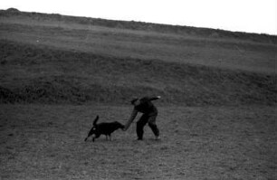 Epfenhofen: [Hund] Bomber greift Schmuggler an