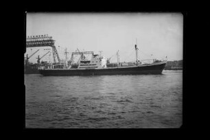 Babitonga (1953), Frachtschiff, HSDG, Hamburg, Bau-Nr. 449