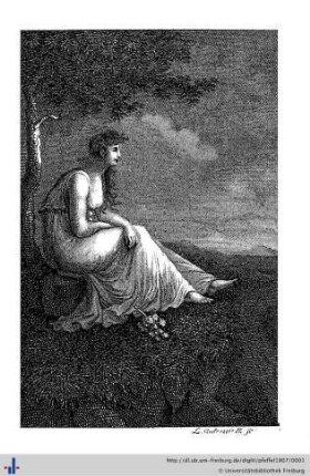 1807: Taschenbuch für Damen
