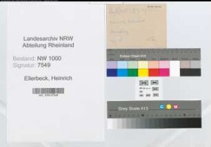 Entnazifizierung Heinrich Ellerbeck, geb. 02.08.1891 (Landesamtmann)