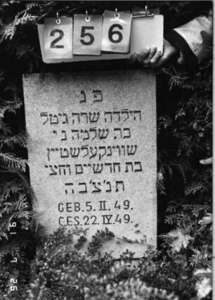 Grabstein 256