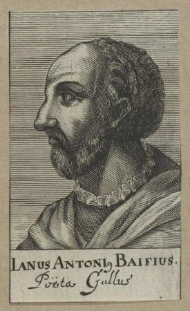 Bildnis des Ianus Antonius Baifius