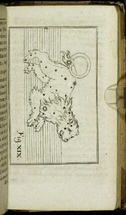 Fig. XIX.