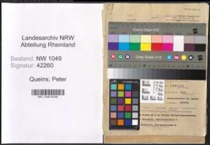 Entnazifizierung Peter Queins , geb. 17.04.1899 (Kaufmaennischer Angestellter)