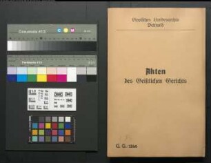 Johann Cordt Mester aus Hagendonop gegen Witwe Möller in Hagendonop, wegen einer Eheklage. Intervenient Winand Leseman zu Hagendonop