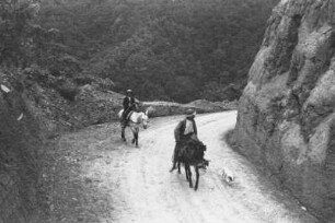Bei Tequendama (Lateinamerika-Aufenthalte 1934/1942 - 2. Kolumbien 1934-1937)