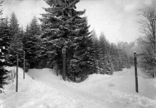 Ulansteig und alte Reitzenhainer Straße mit Gedenktafel
