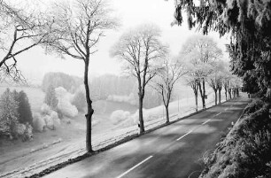 Kappel: Straße Neustadt-Lenzkirch im Raureif
