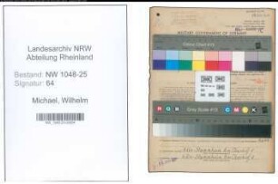 Entnazifizierung Wilhelm Michael , geb. 29.01.1907 (Drogist)
