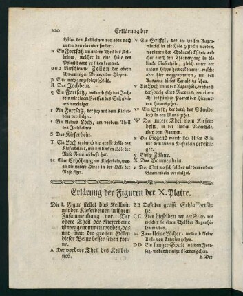 220-222, Erklärung der X. Platte