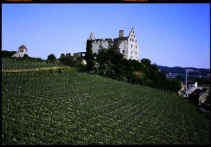 Burkheim: Schwendi-Schlossruine