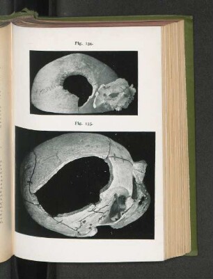 Fig. 134. Fig. 135.