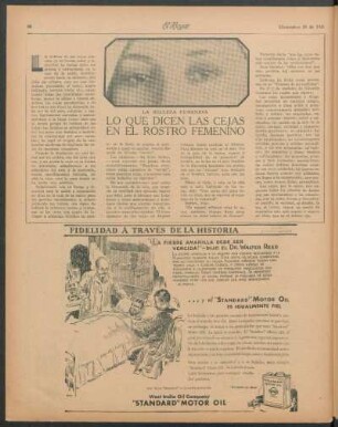 Lo que dicen las cejas en el rostro femenino : La belleza femenina