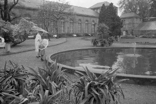 Spaziergang im Botanischen Garten
