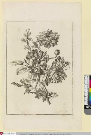 [Blumengebinde]