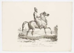 Cheval Persan, Blatt 4 der Folge "Große Folge von Pferden"
