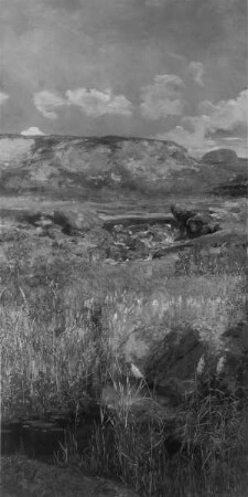 Meerfries — Landschaft mit Sumpf