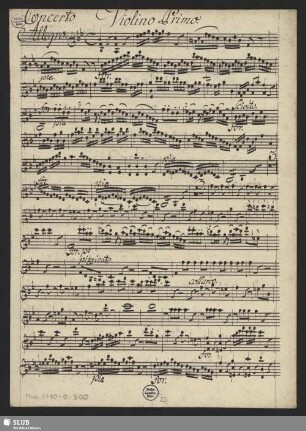 Violino primo