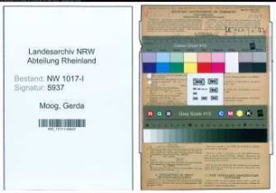 Entnazifizierung Gerda Moog , geb. 25.03.1911 (Kontoristin)