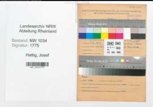 Entnazifizierung Josef Hattig , geb. 09.02.1914 (Hauptmann)