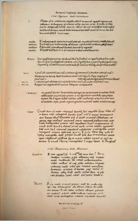 Schrifttafeln zum Gebrauch bei diplomatischen Vorlesungen : Handschriften. 3, Die Tafeln des fünften und sechsten Scriptoren-Bandes der Monumenta Germaniae
