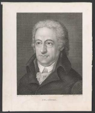 Porträt Johann Wolfgang von Goethe (1749-1832)