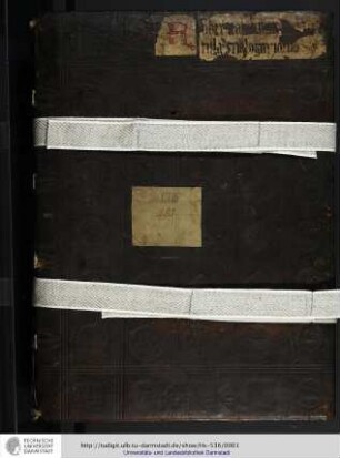 Gallus de Aula Regia