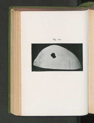 Fig. 100.