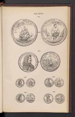 Tafel XXXVI.