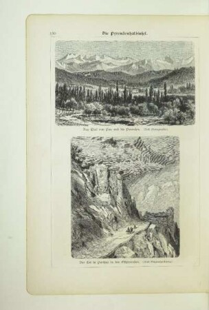 Das Thal von Pau und die Pyrenäen