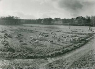 Krankenhaus - Sonderanlagen Reich, Friedrichsdorf-Köppern, 1942-1943