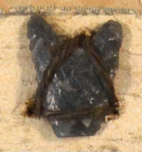 Stone arrowhead