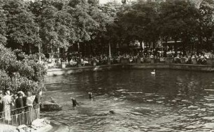 Dresden. Zoologischer Garten. Seelöwenteich und Gaststätte