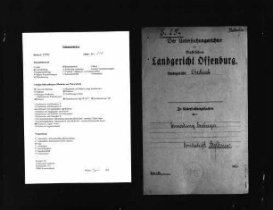 Untersuchungsakten -Sonderheft Walter Baldenius