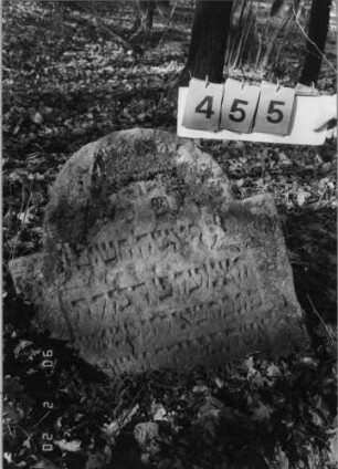 Grabstein 455