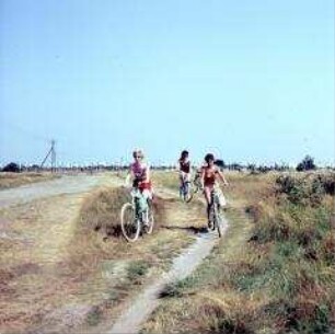 Radfahrerinnen auf der Ostseeinsel Hiddensee
