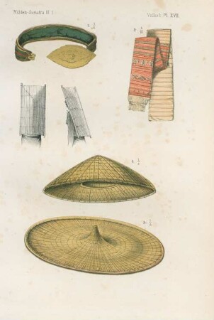 Pl. XVII