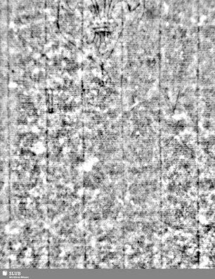 Lilienschild + IESV / LW = Bd.2, S. 315/316