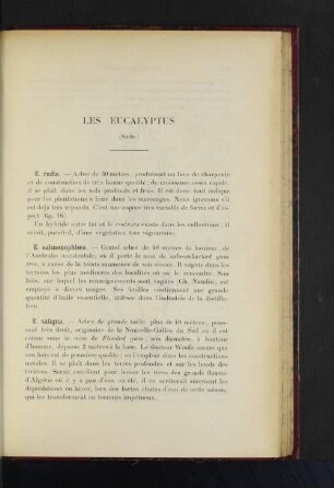 Les Eucalyptus.