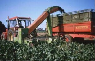 Fotografie: Erntetechnik, Zuckerrübe, Frontköpfer, Rückfahreinrichtung, Parallelverfahren