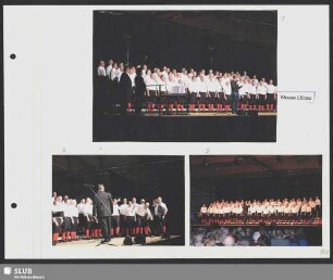 Chor mit Dirigent Christian Garbosnik (Bild 3)