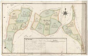 Grund-Riss über die zur Kellerey Schwartzach gehörige churfürstl. Cammeral-Waldungen, Jungholtz, Überbau und Riedenwald gen., Neukircher Forst OberAmts Heidelberg. Plan Nr. 2