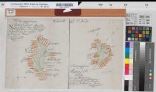 Ostbarthausen (Borgholzhausen) Teilung der Lohmanns Masch und der Halbusch Heide 1777 (50 Ruten = 7,6 cm) 29,5 x 49 kol. Zeichnung M. Reinhold Spez.Verz. Markenkarten X Nr. 14,2