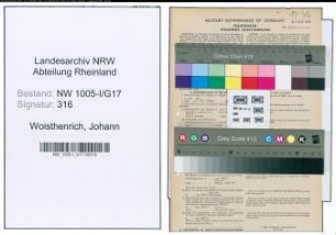 Entnazifizierung Johann Woisthenrich , geb. 24.04.1902 (Ingenieur)