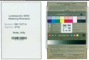 Entnazifizierung Willy Motte , geb. 10.02.1903 (Kaufmaennischer Angestellter)