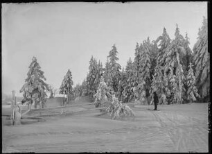 Schellerhau. Blick auf Schellerhau im Winter