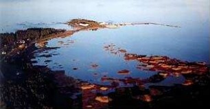 Estland mon amour